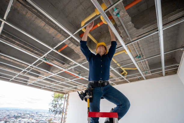 Best Emergency Plumber  in Union Grove, WI