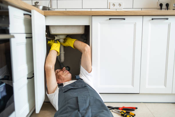 Best Leak Detection Services  in Union Grove, WI